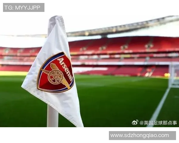 裁判承认误判致阿森纳进球无效赛后深表歉意