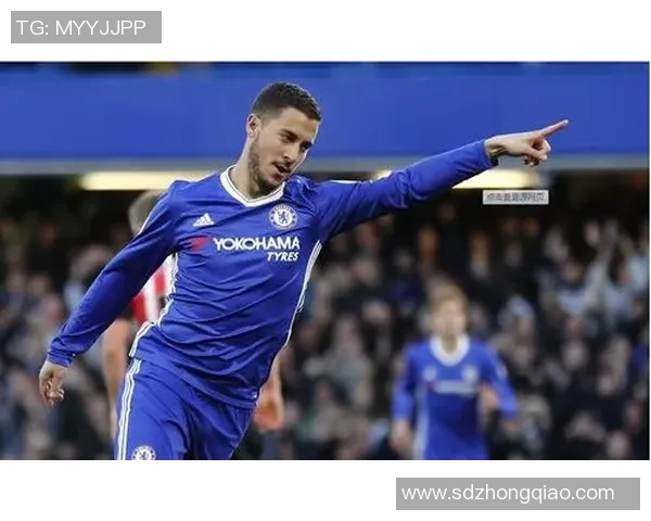 谢菲尔德与布莱顿激战正酣谁能在英超赛场上笑到最后